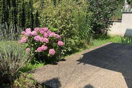 Wohnung Frankfurt am Main Nord-West - 2 Zimmer, 75 m&sup2;, 1.000&euro; | Angebot:27349875