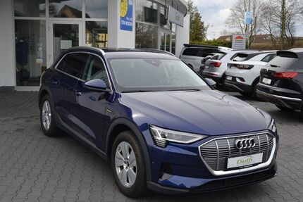 Audi e-tron 8.300 km 30.990 &euro; Babenhausen 64832