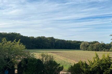 Haus Rodenbach - 640.000&euro; | Angebot:26119455