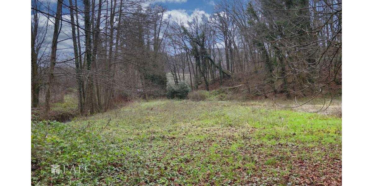 Grundstück in exclusiver Toplage mit Bestand der besonderen Art- zimmer