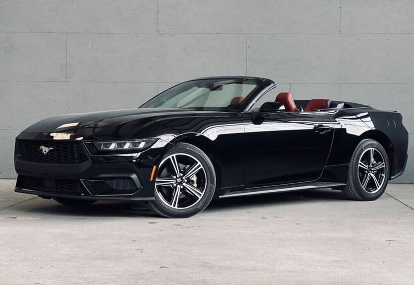 Mustang
