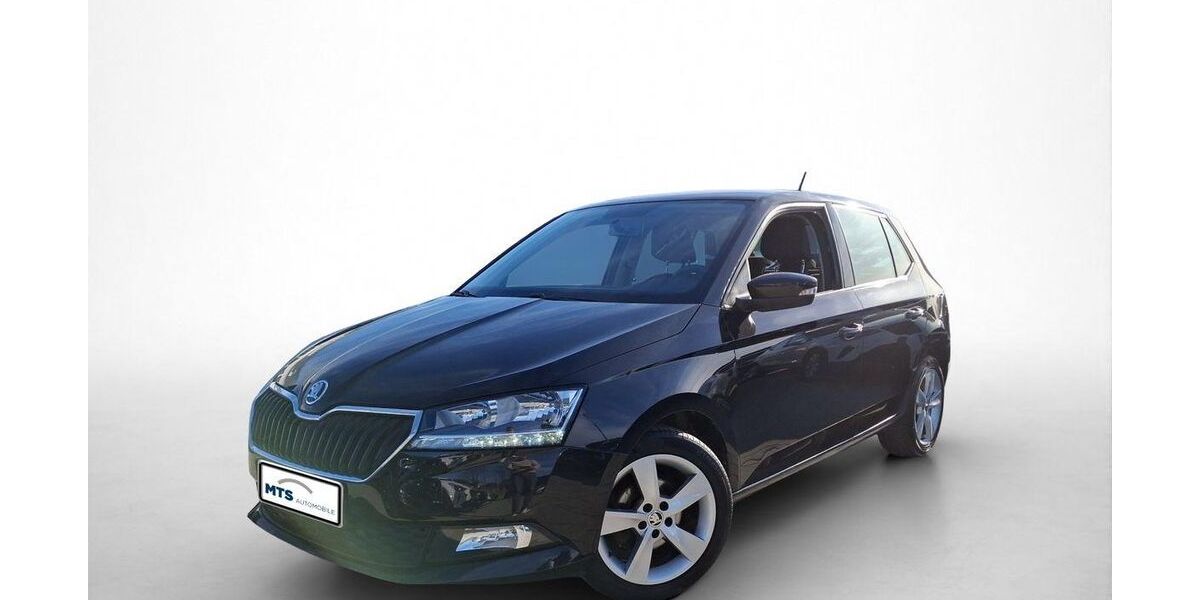 Skoda Fabia 93.990 km 8.650 &euro; Friedberg 61169