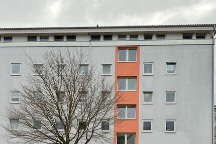 3 Zimmer Wohnung inklusive Einbauküche zimmer