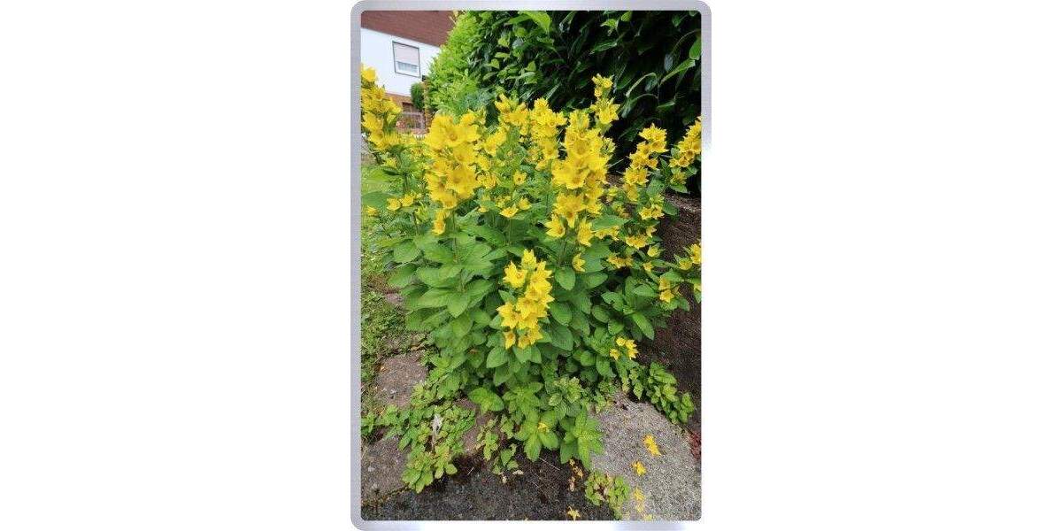 Einfamilienhaus Altenstadt - 5 Zimmer, 175 m&sup2;, 585.000&euro; | Angebot:25768999