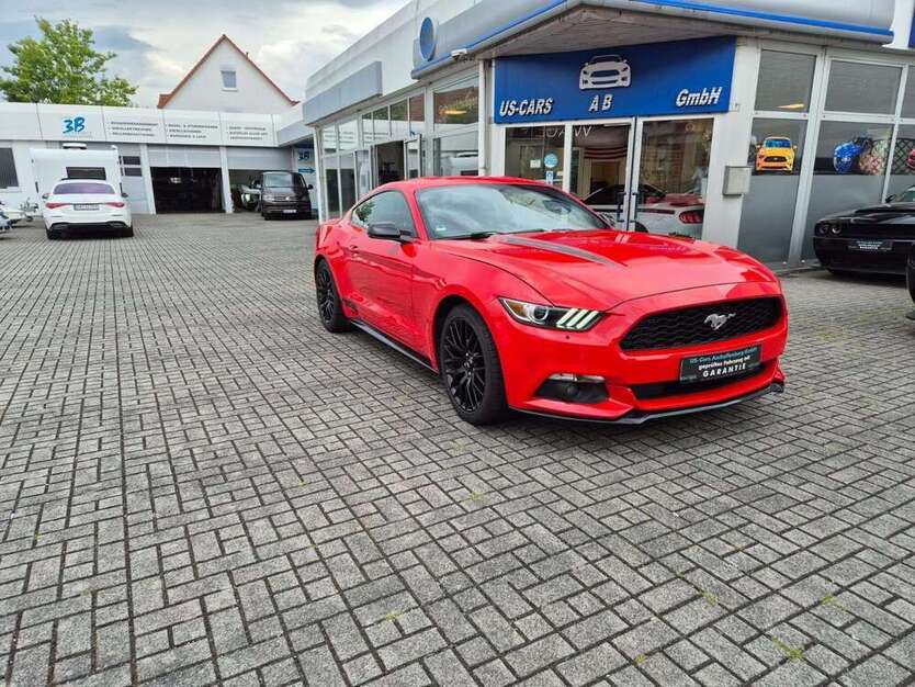 Mustang