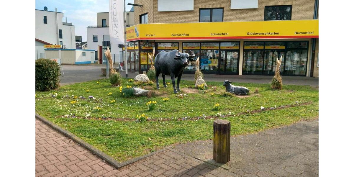 BüroPraxisräume in zentraler Lage von Erlenseee zimmer