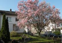 Reihenendhaus Bad Soden am Taunus, Mozartstraße