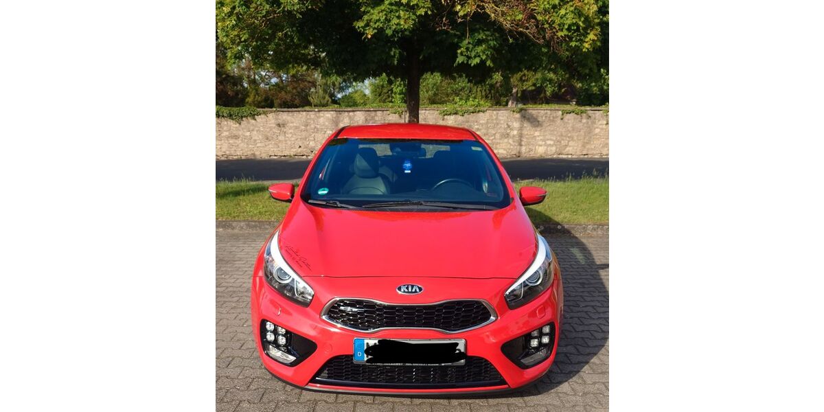 Kia ceed / Ceed 117.000 km 9.995 &euro; Rodenbach 63517