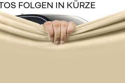 Renault Kangoo 20.424 km 16.890 &euro; Frankfurt / Main 60314