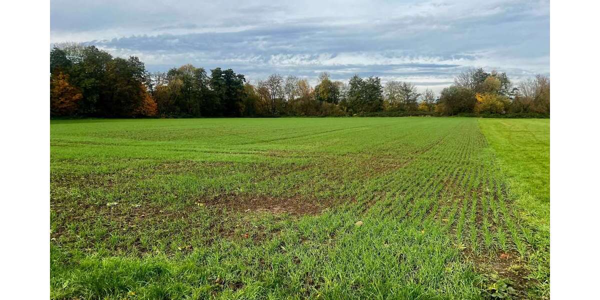 Grundstück zu verkaufen in Frankfurt am Main 59.900 € 3568 m² - Grundstück Frankfurt am Main Bonames | Angebot:26145645