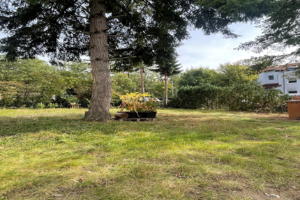 Halle in Kelsterbach 1.500 € 233 m² zimmer