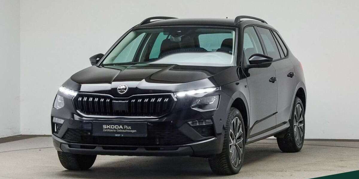 Skoda Kamiq 29.000 km 25.499 &euro; Mühlheim a. Main 63165