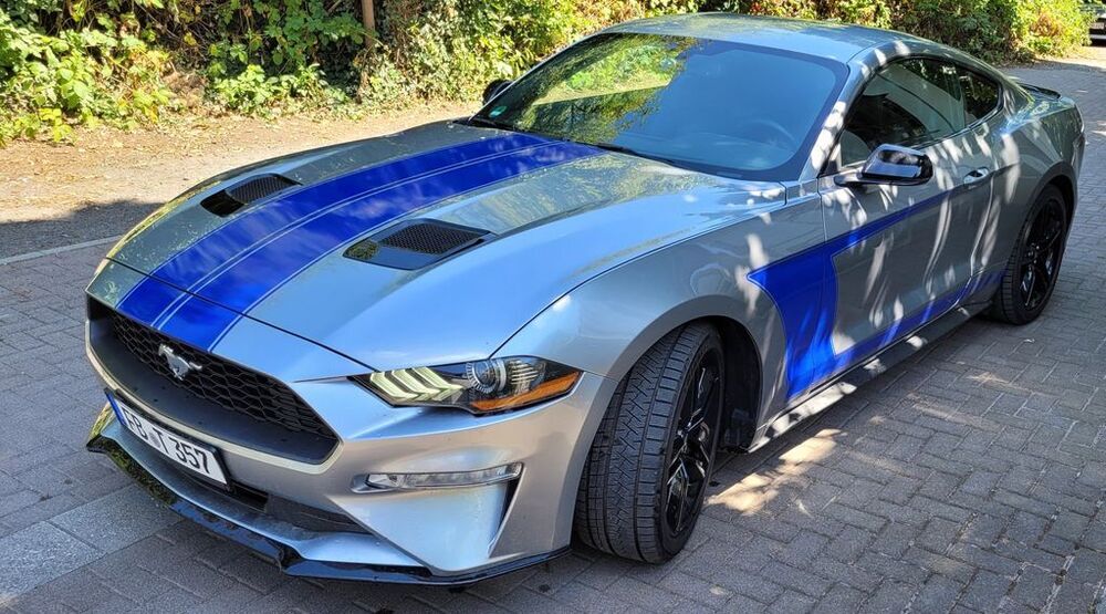 Mustang