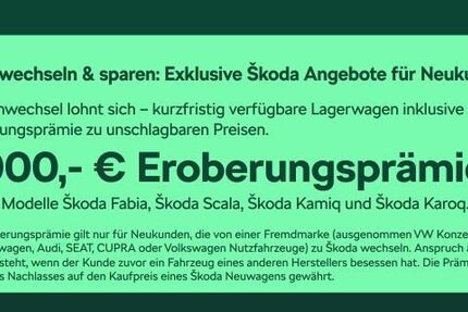 Skoda Fabia 6.000 km 16.980 &euro; Frankfurt 60435