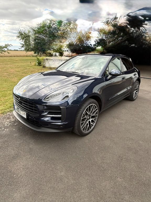 Macan