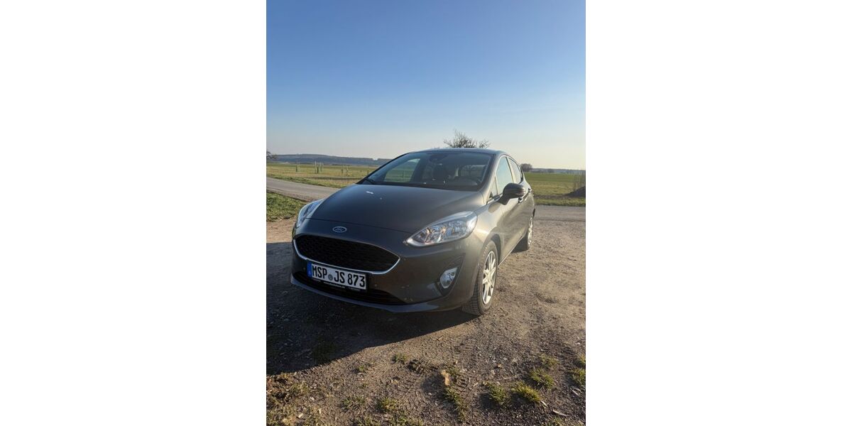 Ford Fiesta 92.100 km 7.900 &euro; Köppern 61381