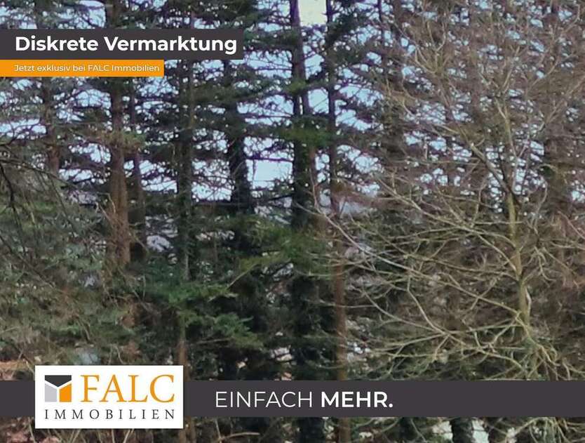 Haus zum Kaufen in Mömbris-Niedersteinbach 1.450.000 € 200 m²
