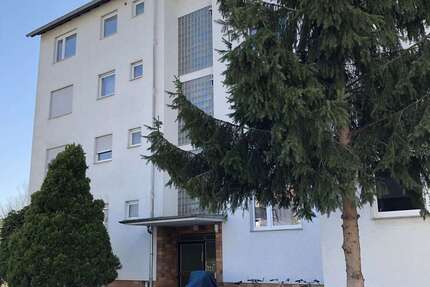 Wohnung zum Mieten in Kelsterbach 485 € 27 m² 1 zimmer