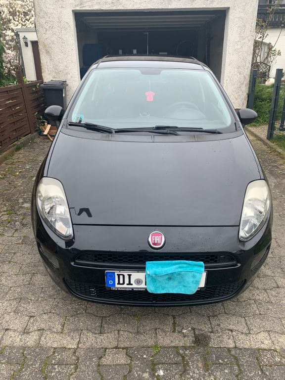 Punto Evo